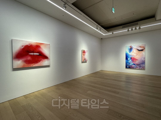 마릴린 민터 개인전 설치 전경. 사진=박은희 기자